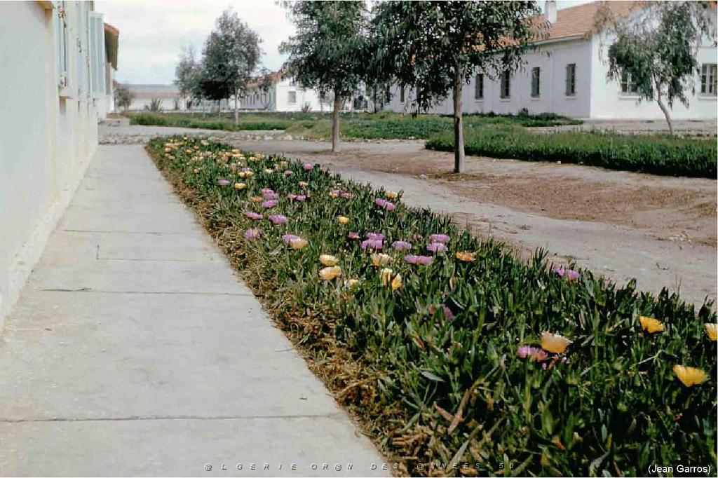 125-AERODROMES-ET-BASES-1945-1962-1-SIDI BEL ABBES ET ALAT 102 (32).jpg